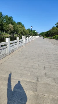 時間能治愈的，都是自愈的人。

自愈不一定是必須你一個人待在房間里，冥思苦想，坐禪開悟。

你可能需要幫助，最后被治愈時，那個源動力依然來自于你自己。

假如一個人抑郁了，然后就醫和心理咨詢，當他再以陽光示人時，人們都會稱贊他的堅強和不屈不撓，沒有人會說：哇哦，你的咨詢師一定很厲害！配圖