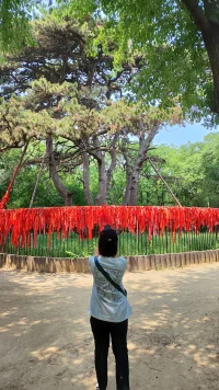 莫忘世上苦人多，

勿道人間不值得。

心懷菩提勤向善，

無常日月任蹉跎。配圖
