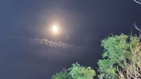 我們都知道，如果種子可以在今天種下，它會產生最大程度的、值得擁有的未來的可能性，那么，我們在現在與過去之間建立連接，不能改變過去的事實，但可以改變對過去的知覺。

此時此刻，也會隨時間成為過去，“未來”將變成“現在”。

而我們的目標，就是把此刻創造為積極的未來。配圖