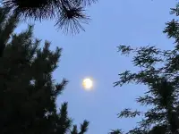 只有因為誠實而誠實的行為，才能稱之為道德行為。配圖