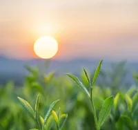 沒錯，人生最好的狀態——知理、知趣、知足。

知理，活得明白；
知趣，不令人生厭；
知足，不貪心就沒那么多苦。配圖