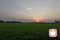 “所謂千秋霸業，萬古流芳，與一件事相比，其實都算不了什么。



這件事情就是，用你喜歡的方式度過一生。”配圖