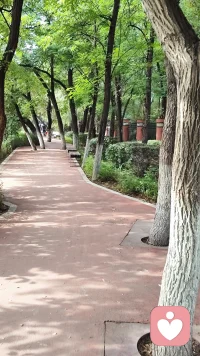 熱愛的事業，感受愛，經歷的苦難，皆是人生意義，晨跑，行為主義上讓人更有活力。愛讓人不想長大變老，苦難使人格成熟，這一生，終究是要過去的，總要人間值得，別委屈，多有趣的人生啊，好多面具，好多角色，是劇場。配圖