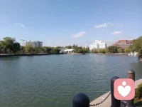 一個不成熟男子的標志，是他愿意為某種事業英勇地死去，一個成熟男子的標志是他愿意為某種事業卑賤地活著。

人這一生，總要為某種超越人生的東西而活著。這些東西也許是我們看不見的，但是看見的不用去相信，看不見的才需要相信。

超越人生的東西，不是讓人活在理想里，而是因為理想，在現實中不迷茫。配圖