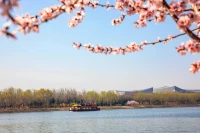 所謂美德，主要有四：
一是智慧，所以辨識善惡；
二是公道，以便應付悉合分際；
三是勇敢，借以終止苦痛；
四是節制，不為物欲所役。
外界之事物，如健康與疾病，財富與貧窮，快樂與苦痛，全是些無關輕重之事，全是些供人發揮美德的場合。配圖