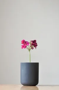 生命中與你無緣的人，當舍。此處若無緣，他處或有良緣。配圖