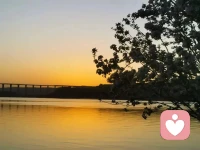 有些事是我們必須要去做的，必須要做的事不一定喜歡。配圖