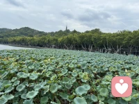 所謂靠譜：溝通有溫度、做事有力度、反饋有準度。配圖