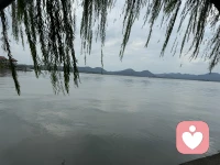 寶貝記住所有的花都開了，就你沒開，但你可能是棵參天大樹，她們只是花而已。配圖