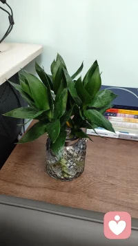 好的咨詢，咨詢師應(yīng)擺正自己的位置，不要端著架子、高高在上，善待每一位來訪者，理解經(jīng)歷遭遇，尊重人性，尊重選擇，給來訪者正確的建議，有利個人成長的疏導(dǎo)。
同樣的，來訪者的心態(tài)，常常決定了咨訪關(guān)系的走向，把自己當(dāng)做普通的消費者，咨詢師只是服務(wù)提供者，往往這樣的心理，決定了，一部分咨詢師不敢如摯友一般說真話給建議。那來訪者咨詢的意義就會大打折扣。再有，一部分咨詢師沒有得到起碼的尊重，會選擇不為五斗米折腰，失去了雙方有效溝通的渠道。
當(dāng)然，考察咨詢師是來訪者咨詢初期要做的事，是否合格，是否和自己匹配，很重要。方法也簡單：
1、咨詢師是否態(tài)度觀點前后一致，邏輯嚴(yán)謹(jǐn)，沒有漏洞百出。
2、換位思考，咨詢師表達(dá)的觀點是可以經(jīng)得起換位檢驗的。
愿每一位朋友，在咨詢中都能找到與自己匹配的咨詢師，消解困惑，平復(fù)情緒，實現(xiàn)自我成長。愿每一位朋友，都能遇到相契合的來訪者，互相學(xué)習(xí)，在助人中取得進(jìn)步。配圖