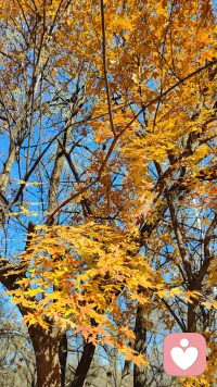 抑郁思維和抑郁感受是不同的，抑郁思維讓我們?nèi)菀紫萑霝?zāi)難化的認(rèn)知模式中，要知道，所有的事情都是一體兩面的，我們需要破除抑郁思維。

而對于抑郁感受，我們有時(shí)需要感受這種情緒，偶爾的精神萎靡和不快樂，是自然且必然的，適度的倦怠是人生的潤滑劑，人不可能一直斗志昂揚(yáng)像打了雞血一樣過一生。

我們要理性地看待抑郁，不要自我羞恥，不要恐懼抑郁會帶來災(zāi)難，沒那么嚴(yán)重。慢慢來，一切都會好起來的。配圖