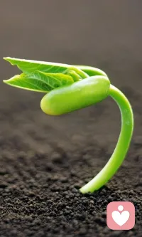 如果，你生活中，有一個孩子，他(她）也許是你的鄰居家的孩子，也許是你親戚或同學家的孩子，被父母粗暴對待，或者他(她）是你的學生，也許你就是一位學校老師，你知道他(她)在遭受父母的指責、打罵或者嫌棄，如果，你有機會告訴那個孩子，錯的是他(她)那刻薄憤怒的父母，而不是孩子你，這將對他(她)意義重大。

因為，在若干年后，當他(她)長大成人甚至已經(jīng)為人父母之后，當他(她)試圖療愈自己童年創(chuàng)傷時，你曾經(jīng)告訴“錯不在他(她）”將成為療愈的種子，讓他(她)有機會從童年的噩夢中走出來，不再自責，不再覺得不配擁有現(xiàn)在的生活，不值得被愛，甚至不配活著。配圖