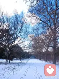 每个人的成长轨迹，毫无例外地，都会受所谓“原生家庭”的影响，在此影响下，与先天的气质一道，共同组成一个人的人格特征。

想要改变，只有一条路，学习与反思，最简单有效的方法是读书，什么都不需要想，读书就是了，不是专指上学的读书，就是拿书来读。

读书能转性，读书能改命运。配图