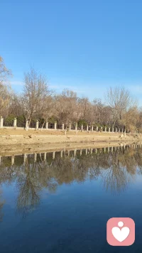 “当我开始真正爱自己，我不再继续沉溺于过去，也不再为明天而忧虑。


我开始远离一切不健康的东西，不论是饮食和人物，还是事情和环境。


我只活在一切正当发生的当下，日复一日。”配图