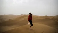 自由就是不再寻求认可，
不再活在别人的期待中。