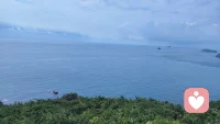 “群体压力下的从众不是弱点，而是人类社交本能的体现——但意识到它，是我们抵御盲目跟随的第一步。” ——所罗门· 阿希