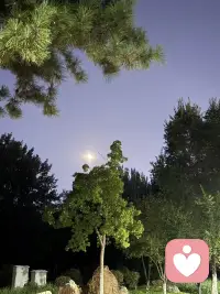 生活中的麻煩事不會消失，所以我們真的要學會以很深的很成熟的方式來愛自己，所以我們要做的就是對自己許下這個承諾，我所遇到的沒有失敗，都是學習，無論生活給了我什么，我都會把它變成正向的學習。

無論發生什么，對它抱有好奇，相信凡事發生總有理由，相信發生的事蘊含智慧，它試圖讓你覺醒，有些東西需要被治愈，歡迎它、接納它，當我們在做每一件事時都帶著這份正向，我們就會自由了，我們就能成為我們真正想成為的人。配圖