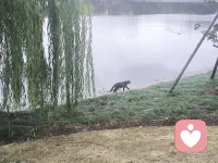 你不能只以別人為手段，而不同時以他為目的。配圖