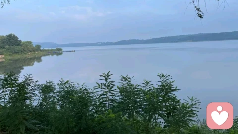 人生海海,敢死不是勇气,活着才是。\n\n——作家麦家的访谈整理