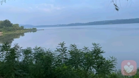 人生海海,敢死不是勇气,活着才是。 ——作家麦家的访谈整理