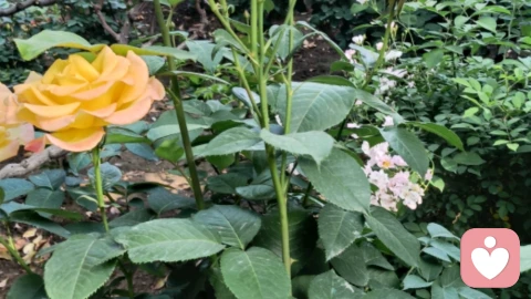 决定婚姻的5个底色。第1个最容易忽略