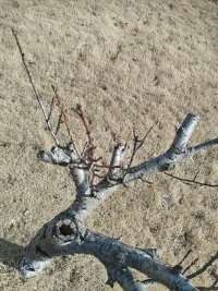 直視驕陽，向死而生
所有沒有徹底打倒你的都將成為內心的豐盈與富足！配圖