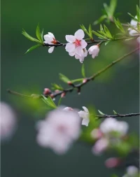 早安！
“有愛(ài)的家”才是給孩子最好的成長(zhǎng)環(huán)境
?        我們想有幸福的感覺(jué)，就得有個(gè)心安的“家”。家里有個(gè)快樂(lè)的媽媽，有個(gè)開(kāi)心的爸爸，很多母親最缺的就是快樂(lè)，因?yàn)樗齻冊(cè)敢鈮阂肿约海瑵M足別人，所以常常有情緒，很難快樂(lè)。而父親不愛(ài)說(shuō)心里話，尤其是在家里，因?yàn)榕赂改笓?dān)心，要成為妻子的依靠，想為孩子撐起一片天，所以男人很難打開(kāi)心扉，說(shuō)心里話。孩子就背負(fù)了父母的不開(kāi)心和不快樂(lè)，如果一個(gè)父親敢于在家里把心里話說(shuō)出來(lái)，如果一個(gè)母親在家里愿意用“表達(dá)情感”代替“發(fā)泄情緒”，孩子就會(huì)獲得父母最應(yīng)該給予他的幸福感：父母真的愛(ài)他，父母真的相信他。配圖