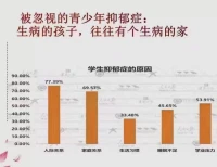 系統論，從宏觀，中觀，微觀看待癥狀與解決！配圖