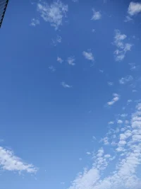 晚上好，一切都是最好的安排！配圖