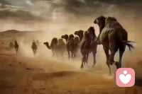 馬問駱駝：
?你們是怎么穿越沙漠的？
?駱駝說：一直走，
?馬又問：還有呢？
?駱駝答：一直走。
?馬又問：一直走，就這么簡單？
?駱駝：是的，朝著目標一直走……
?想多了都是問題，做了才是答案！配圖