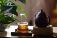 一個干凈的人，并非不食人間煙火，不染世俗，而是靈魂深處有凈土，思想背后有初心。
                                           ?——楊絳配圖
