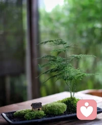 生活需要你認真，好運需要你努力，好好享受沿途風景，在人生路上自然前行……配圖