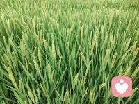 想要過好這一生，最重要的是學(xué)會兩個原則：

1、區(qū)分什么是你能控制的，什么是你不能控制的；

2、控制你能控制的，接受你不能控制的。配圖