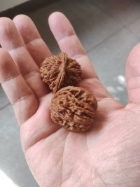 人受的伤，经常认为时间会疗愈，
​其实时间根本不能，而是把疼痛压进了身体。身体是有记忆力的，生活中稍有碰触就会勾出伤的疼痛，使自己不由自主的冲动应对。​比如，孩子总轻易地勾出家长的愤怒，家长发泄出来后又后悔自己的冲动，说以后我再也不发火了，可下次依然。
​
​走进心理咨询室一核查，发现自己曾经就是那个受伤的小孩，对孩子代际传承了父母的模式。
​
​实话实说，创伤和精神性疾病选择心理咨询是最佳途径。
​
​萨提亚说：“问题不是问题，怎样解决才是问题”。