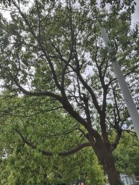 所谓“疗愈”，就是改变自己，用“新的自己”去替代“旧的自己”。
​
​只要生长出了新的自己，过去的看法、感受和情绪，就一并消失了。
​
​这才是真正的疗愈。
​
​反过来说，如果没有已经改变的自己，任何疗愈都不可能发生。
​