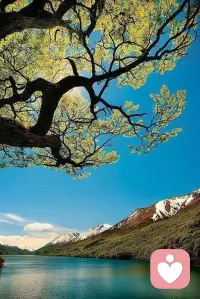 这个世界没那么好，也没那么糟
无论正在经历什么，
要记住，生活是一个圆圈
就好像太阳升起落下
万事有来有去
慢慢经历，生活总会有惊喜！配图