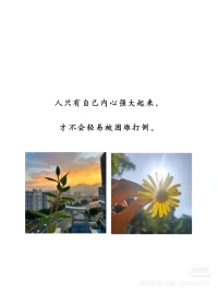 人只有自己内心强大起来，才不会被困难打倒！