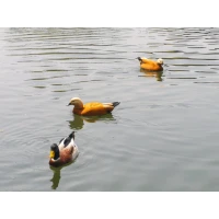 你可以難過，可以焦慮、可以脆弱，也可以不安，這樣的你也有人愛，這樣的你也很可愛的。配圖