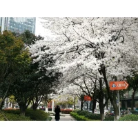 如果你想要一段成功的關(guān)系，一個(gè)美滿的婚姻，一個(gè)幸福的家庭，你就必須首先是一個(gè)人格完整、心理成熟的人。
弗洛姆說(shuō)："不成熟的愛(ài)是一一因?yàn)槲倚枰悖晕覑?ài)你。"而成熟的愛(ài)是一一因?yàn)槲覑?ài)你，所以我需要你。
成熟的愛(ài)意味著：獨(dú)處的我已然和諧、喜樂(lè)、滿足而感恩。
一個(gè)不完整，不成熟的人，是還沒(méi)有和自己內(nèi)在真正自我聯(lián)結(jié)的人。所以他們用對(duì)方的評(píng)價(jià)和反應(yīng)來(lái)界定自己。
一個(gè)完整而成熟的人會(huì)看到對(duì)方的觀點(diǎn)和行為雖然和自己有關(guān)，但是根源在對(duì)方那里。他們不會(huì)用對(duì)方的錯(cuò)誤來(lái)懲罰自己，更不會(huì)讓別人對(duì)待自己的方式，來(lái)左右自己生命的價(jià)值。
所有的關(guān)系，其實(shí)都是為了提醒你，向內(nèi)找尋自己的智慧和力量，活成你自己。配圖