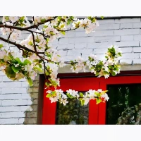 父母存在的意義，不是給予孩子舒適和富裕的生活。而是當(dāng)你想起父母時(shí)，內(nèi)心會(huì)充滿力量，會(huì)感受溫暖，從而擁有克服困難的勇氣和能力，因此獲得人生真正的樂(lè)趣和自由。
所謂成功的父母，也正是如此吧。
成為孩子的退路和庇護(hù)所，而不是壓死駱駝的最后一根稻草。成為孩子內(nèi)心的支柱和可以兜底的依靠，而不是壓力制造者。配圖