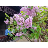 喜歡與愛的區別：喜歡，是看到了你的優點；愛，是包容了你的缺點；喜歡，是愛你的身體；愛，是喜歡你的靈魂；喜歡，是在嘴上說你是我的；愛，是用行動證明我是你的；喜歡，是我要如何才能接近你；愛，是我該怎樣才能配得上你。配圖