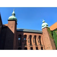 幼年的生存取決于兩個要素：身體完好；依戀父母或者看護人并被他們接納。對小孩來說，在感情上被拋棄也可以被覺得是危及生命的。羞恥的體驗與被拋棄相類似，會深遠地影響到我們的依戀模式、大腦發育和自我認同。配圖