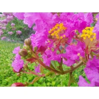 心理學家卡爾．榮格：“潛意識總是想要平衡”。
在你生命中，有些癥狀之所以反復地出現，是為了來提醒你一一有些東西一直被你忽略了，它們需要被看見，被重視，被連接。配圖