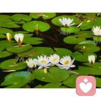 最舒服的人際關(guān)系，是構(gòu)建出“你行，我也行”的氛圍，即無需貶低自己，來抬高他人，也無需強(qiáng)裝自信，來碾壓他人。配圖