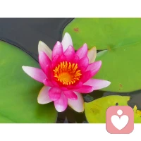 我們以為自己是理性的，我們以為自己的一舉一動都是有其道理的。但事實上，我們的絕大多數日常行為，都是一些我們自己根本無法了解的隱蔽動機的結果。——古斯塔夫·勒龐配圖