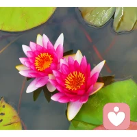 缺愛的人，缺的不僅僅是愛，更是自我。配圖