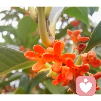 榮格：“愛和權(quán)力是一對反義詞，當(dāng)權(quán)力主宰一切時，愛就消失了。而當(dāng)愛成為主題時，權(quán)力斗爭就不存在了。”
破除「權(quán)力游戲」困局的秘訣，就在「愛」里。配圖