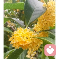 沒有人可以回到過去重新開始，但誰都可以從現在開始，書寫一個全然不同的結局。配圖