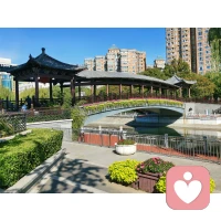 孤獨并不是來自身邊無人。感到孤獨的真正原因是因為一個人無法與他人交流對其最要緊的感受。配圖