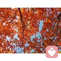 一個人是否幸福，取決于他是否感到自己是在“做自己”。配圖